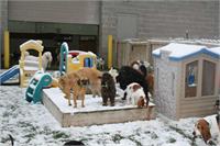 daycare pic 133 - winter fun